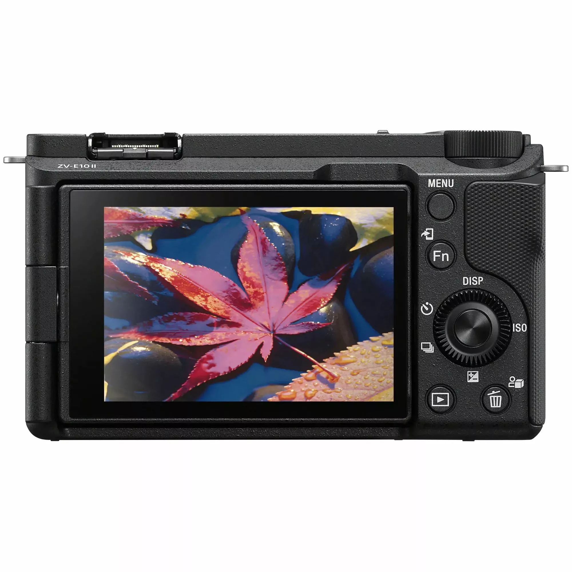 white-6589380_bd