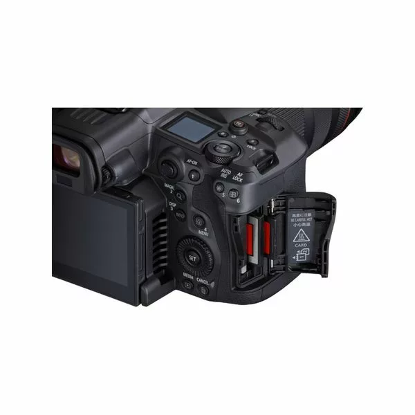 rp_42785423_7_0035177305_multi